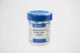 Image result for Amphotericin B