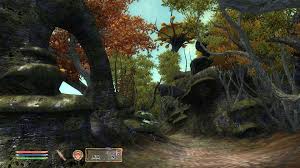 To access the dlc content, first download it and then start up your regular tes: The Elder Scrolls Iv The Shivering Isles Neoseeker