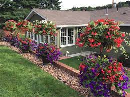 1st Place Winner Deborah Hecht Aliquippa Pa Top Baskets Sun Impatiens Dragon Wing Begonias Red Plectra Planting Flowers Small Garden Garden Containers