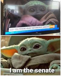 Pin By Marcio Minoru On Funny Funny Star Wars Memes Yoda Meme Star Wars Jokes