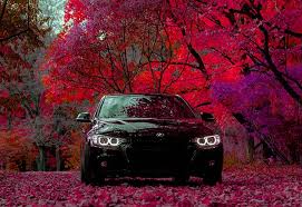 Since orange is a tertiary color, it is easiest to start with a bright orange paint and its tertiary friend, brown if it is not rich enough, add a few drops of navy blue. See Black Red Or Green Why You Shouldn T Paint Your Car Bright Or Dark Colours Wheels