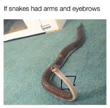 Pin On Snek Noodle Memes