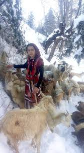 Girl And Her Dog Rescue A Mother Goat And Her Newborn Baby Komik Hayvan Evcil Hayvanlar Hayvan
