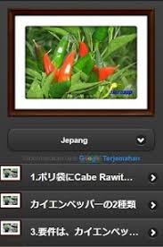 Cabe rawit apk 1.10 for android is available for free and safe download. Cabe Rawit Cultivation In Polybag 1 0 Apk Androidappsapk Co