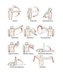 Physical therapist and founder of webpt heidi jannenga says you should visualize the head of the arm bone as a golf ball, and the area of the the most common rotator cuff injuries are impingements and tears. Rotator Cuff Exercises Physical Shoulder Exercises Physical Therapy Rotator Cuff Exercises Shoulder Workout