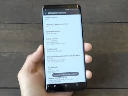 To unlock developer options, launch settings and scroll all the way . How To Enable Developer Options On The Galaxy S9