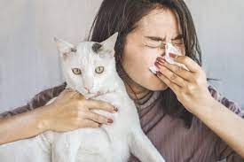 This New Vaccine Could Help Reduce Cat Allergies Wral Com