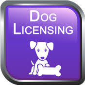 Where can i get my cat spayed or neutered? 2021 Dog Licenses Now Available Town Of Wrightstown Brown County Wi