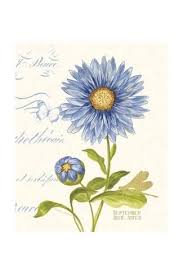 September Blue Aster Art Print Ariane Sarah Art Com In 2020 Birth Flower Tattoos Aster Flower Tattoos September Birth Flower
