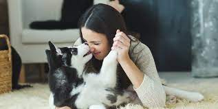 Can Dogs Sense Pregnancy In Humans