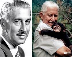 Channel 4 in the UK now. A bit of David Attenborough