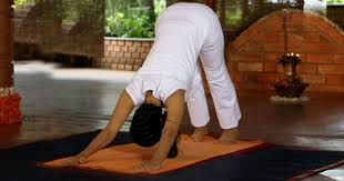 Adho Mukha Svanasana Downward Facing Dog Pose Yoga Health Benefits Video Steps The Art Of Living Global