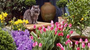 If you see a cat eat. Common Garden Plants That Are Toxic To Cats