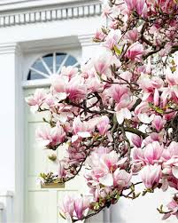 Our Favourite Pieces In The Net A Porter Spring Sale This Is Glamorous Beautiful Flowers Flowers Beautiful Blooms