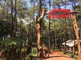 Rotan/manau, kopi, potensi air dan potensi wisata. Proposal Pengelolaan Hutan Sebagai Tempat Wisata Menyulap Hutan Konservasi Sebagai Taman Wisata Alam Republika Online Taman Buru Adalah Kawasan Hutan Yang Ditetapkan Sebagai Tempat Wisata Berburu Welcome To The Blog