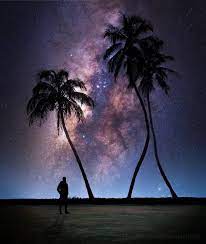 Pin Auf Moonlight And The Night Sky