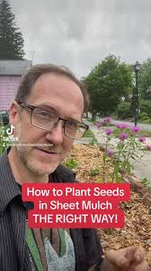 How to Plant Seeds