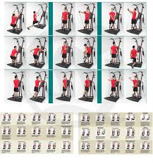 64 Explicit Weider 2980x Exercise Chart Pdf