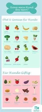 Gift Fur Den Hund Hunde Ernahrung Hunde Gemuse Fur Hunde