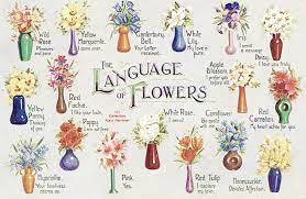 The Language Of Flowers Flower Meanings Language Of Flowers Victorian Flowers