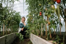 Check spelling or type a new query. Tomato Companion Plants Benefits And What Grows Best With Tomatoes Plants Spark Joy