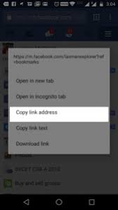 Then, from the list of options, tap copy link. Find Facebook Id Number Of User Profile Page Group