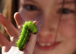 Gesamtheft ANLiegen Natur 37/2, 2015