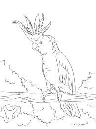 Printable coloring and activity pages are one way to keep the kids happy (or at least occupie. Yellow Crested Cockatoo Coloring Page Supercoloring Com Bird Coloring Pages Bird Drawings Parrots Art