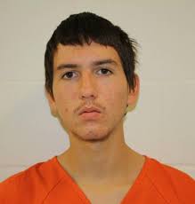 Beating suspects appear in court