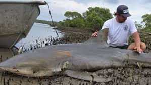 News source: The Courier Mail