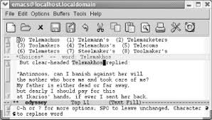3 3 Checking Spelling Using Ispell