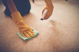 Teppich reinigen mit maschine / solltest du mieten?. Teppich Reinigen 12 Tipps