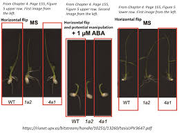 Científicos al borde de un ataque de nervios