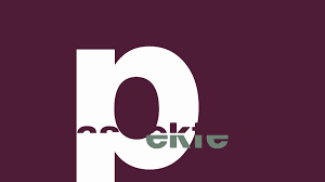 Shirley anita chisholm (née st. Wielandt Gmbh