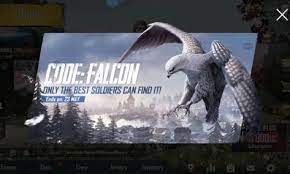 Pin On Falcon