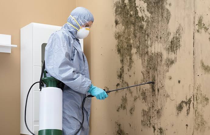 5 Powerful Benefits of Salt Lake City Mold Remediation: How PuroClean of  Layton Can Transform Your Property - PuroClean of Layton