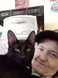 Hi all! I just wanted to introduce myself and share a photo I took. My name  is Salem and this is my big sister Dottie.