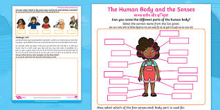 100 body parts name hindi and english(vocabulary) ,urdu ,sharir k ango k name with picyure.this video is helpfull for kids and. Human Body And Senses English Hindi Interactive Pdf