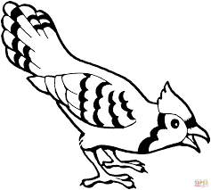 The spruce / kelly miller halloween coloring pages can be fun for younger kids, older kids, and even adults. Blue Jay Bird Coloring Page Free Printable Coloring Pages Bird Coloring Pages Blue Jay Bird Animal Coloring Pages