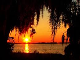 Check spelling or type a new query. Sunset And Spanish Moss Mapio Net