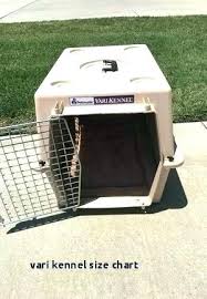 Used Dog Kennels For Sale Cheap Localnoon Co