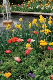 Bulbs can be planted in rows like soldiers or planted five to seven bulbs to a hole. 12 Spring Bulb Designs To Plant Now