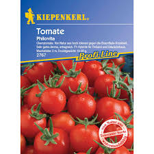 Die cherrytomaten von mutti verleihen ihren gerichten den ganzen vollmundigen geschmack und die fruchtigkeit unserer unter mediterraner sonne gereiften pomodori. Kiepenkerl Cherry Tomaten Philovita F1 Kaufen Bei Obi