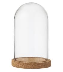 Cloche En Verre Cloche En Verre Verre Accessoire Deco