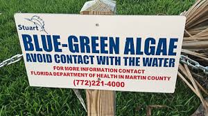 Save $4,956 on a used hyundai santa fe near you. The Slow Death Of Lake Okeechobee And The Rise Of Toxic Blue Green Algae In Florida Part 2 Of A Series By Rose Lipke The Suncoast Post