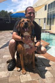 Palm beach county animal care and control. Palm Beach Pet Boarding Pet Paradise