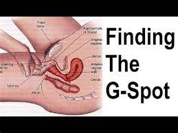Raha kusugua g spot : Raha Kusugua G Spot Btc How To Find Your G Spot Part 1 Youtube Some People Think That It Is A Myth Others That It Is A Button