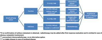 Cancer can cause different symptoms on men & women. Small Cell Lung Cancer Sclc Esmo Clinical Practice Guidelines For Diagnosis Treatment And Follow Up Annals Of Oncology