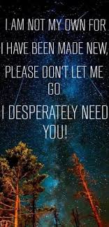 Owl City Meteor Shower Owl City Lyrics Owl City Songs Owl City