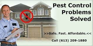 How to find the best pest control company in my area? Ottawa On Pest Control Pest Control Exterminators In Ottawa On